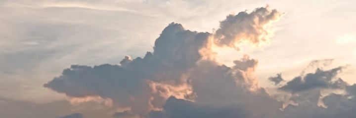ReallyN. banner