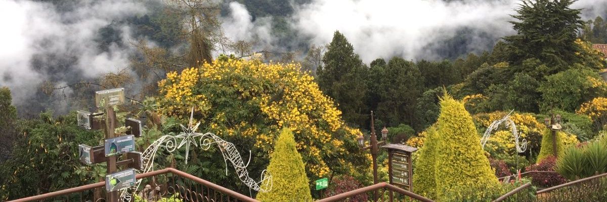 3LGHETTO's profile banner image