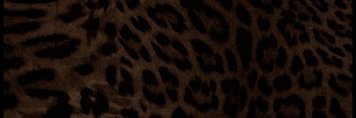 mackenzieelyons's profile banner image