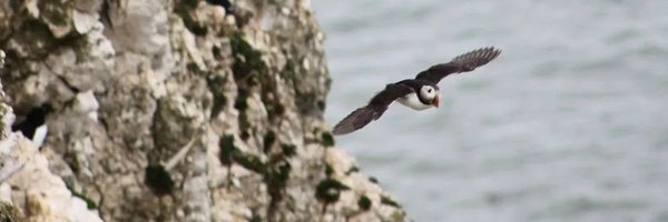 karenwhatever Profile Banner