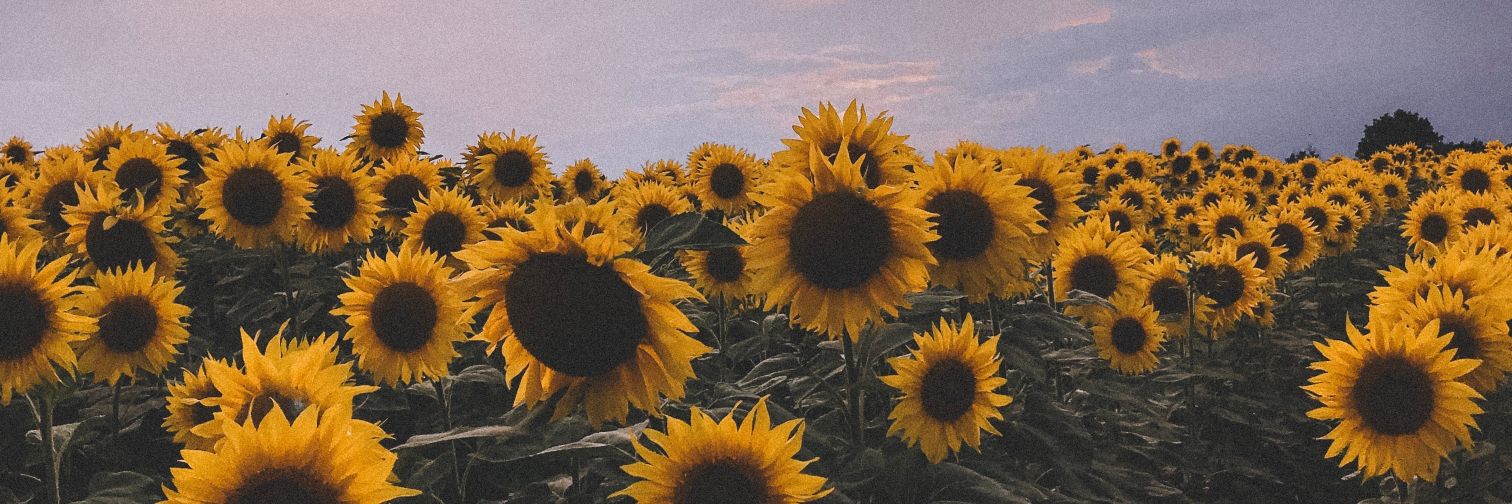 ismaeIat's profile banner image