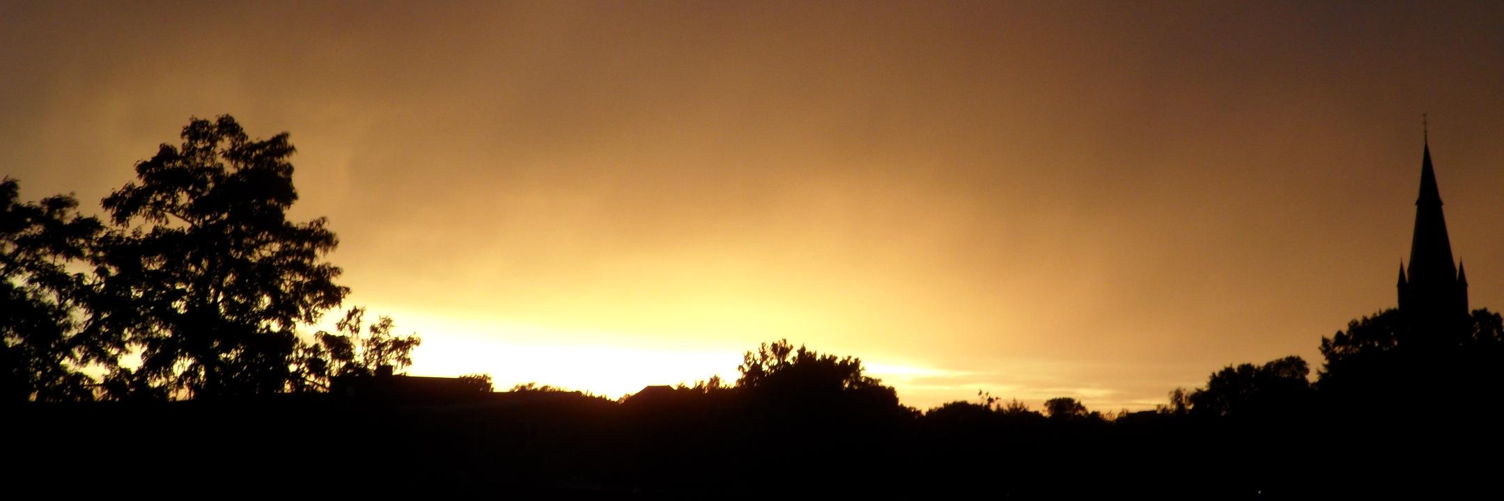 LMvanBodegom's profile banner image