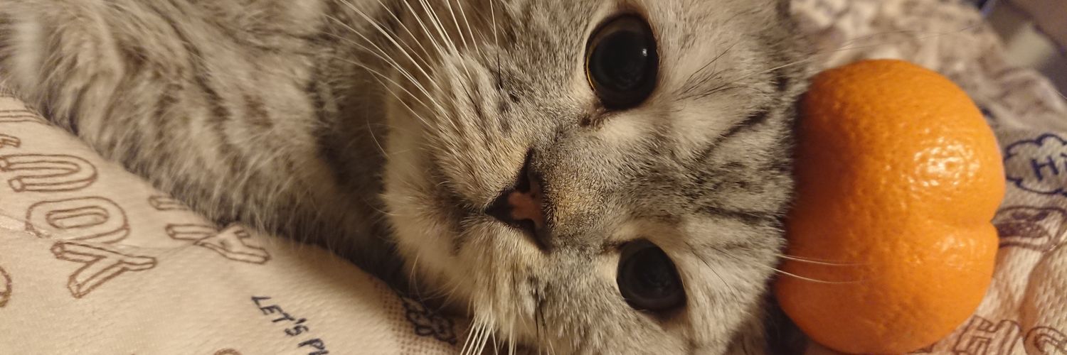 utoutoShuto's profile banner image