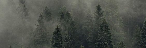 U0ssef's profile banner image