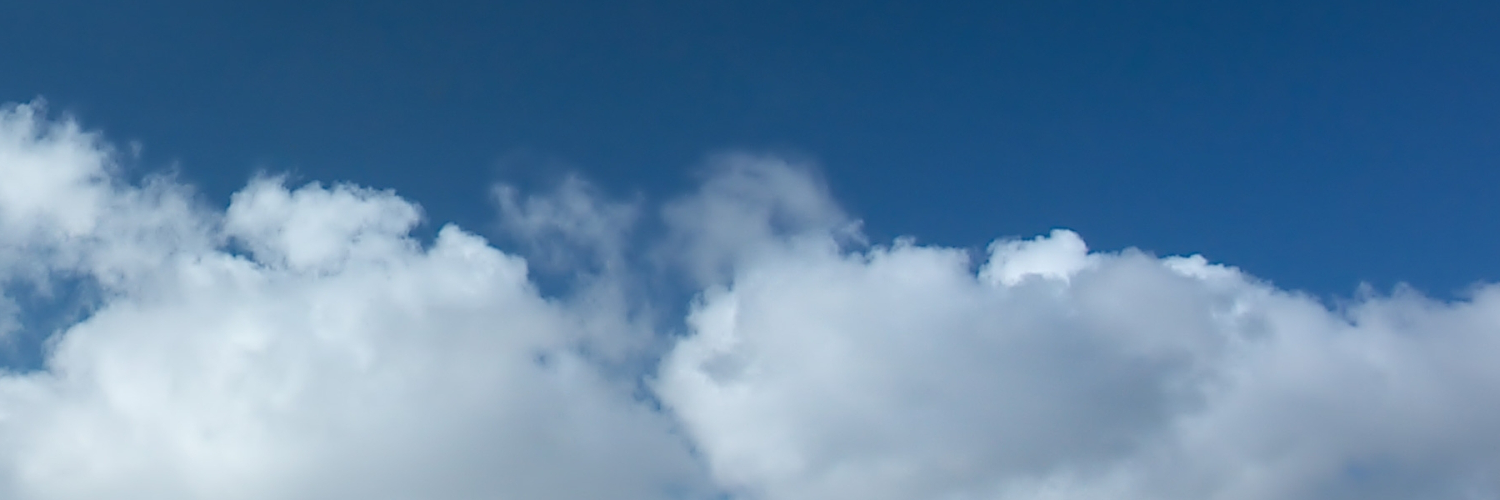 Валентина Смирнова banner