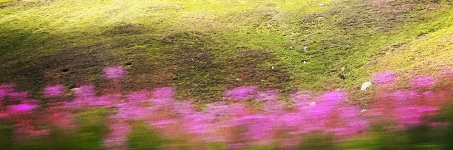 deanybooper's profile banner image