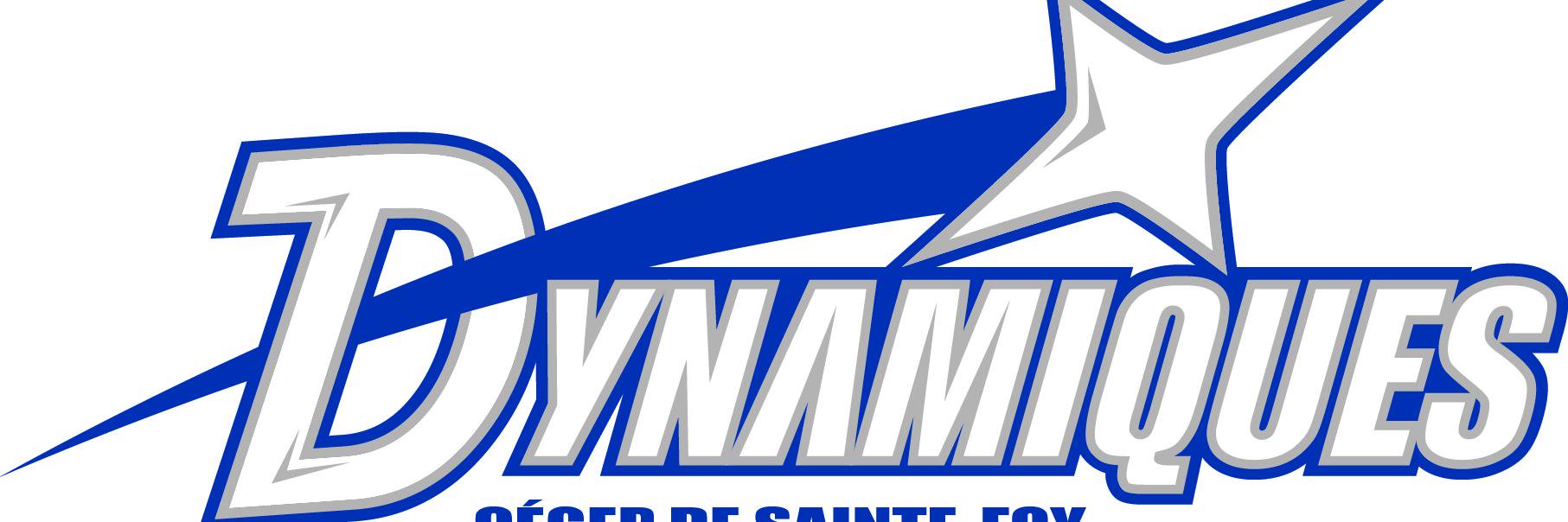 Dynamiques-CSF banner