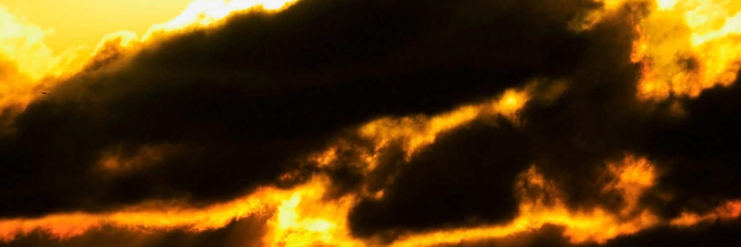 Юлия Волкова banner