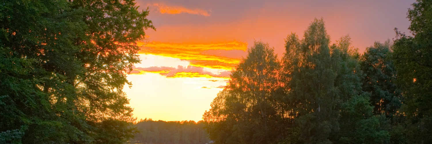 Натали Чернова banner