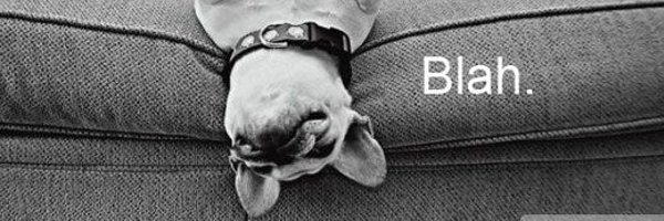 siegraaa Profile Banner