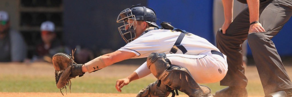 Matthew Tyler Ozanic banner