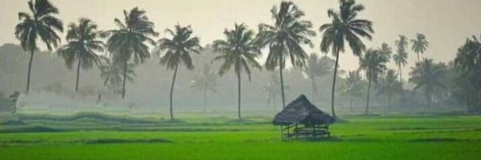 Rohitjyoti's profile banner image