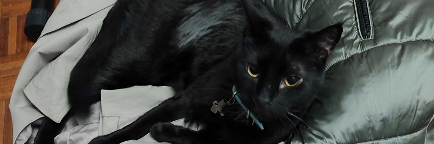 pilitrix's profile banner image