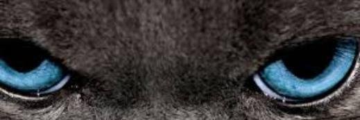 SeteG90's profile banner image