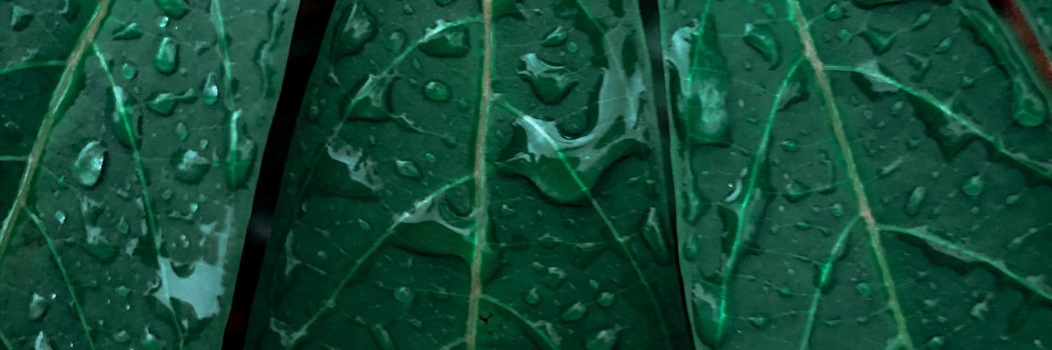 krisnaprp's profile banner image