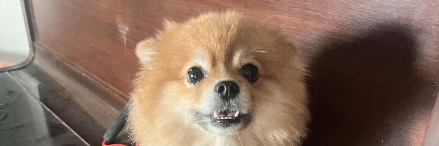 AndreiMandi's profile banner image