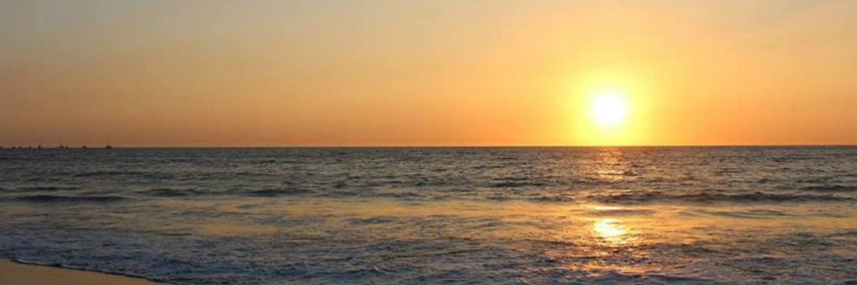 marustorani's profile banner image
