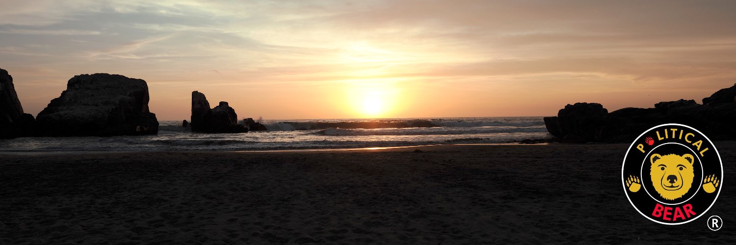 POLITICAL BEAR 🇵🇪 banner