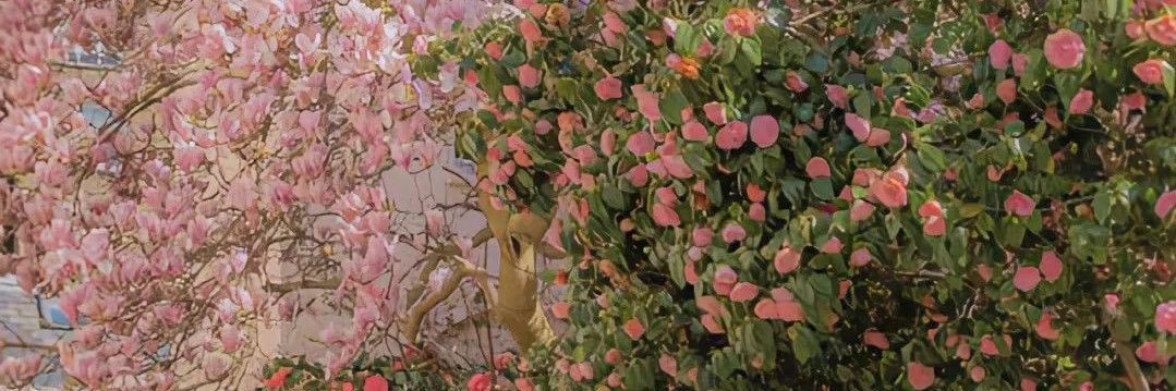 simplysasya's profile banner image