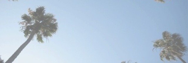 beauftbieb's profile banner image