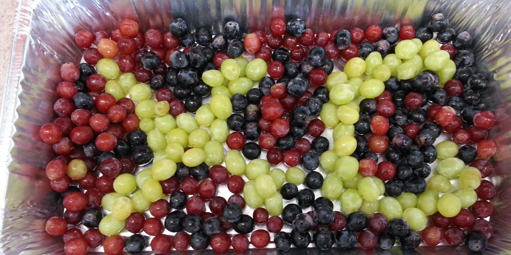 Lady Lions Track & Field banner