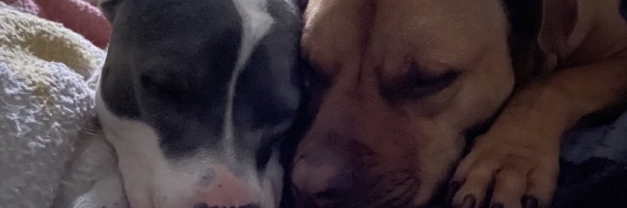 mrsmithkind's profile banner image