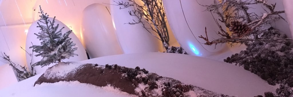 _charlstevens's profile banner image