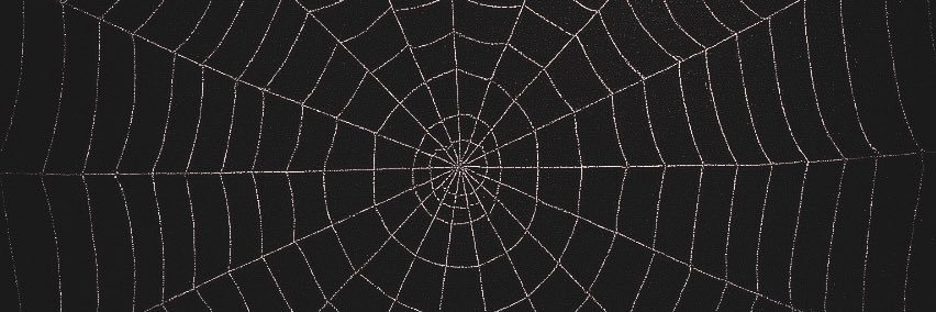 🖤🥀𝓡𝓲𝓴𝓴𝓲🥀🖤 banner