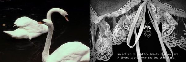 honeyd Profile Banner