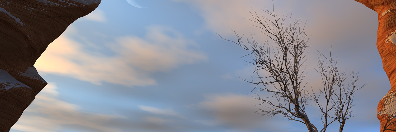 Аня Мартынова banner