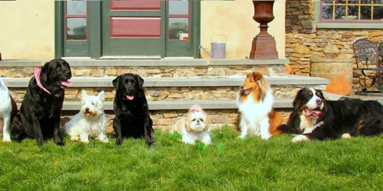 NorwesterReaders banner