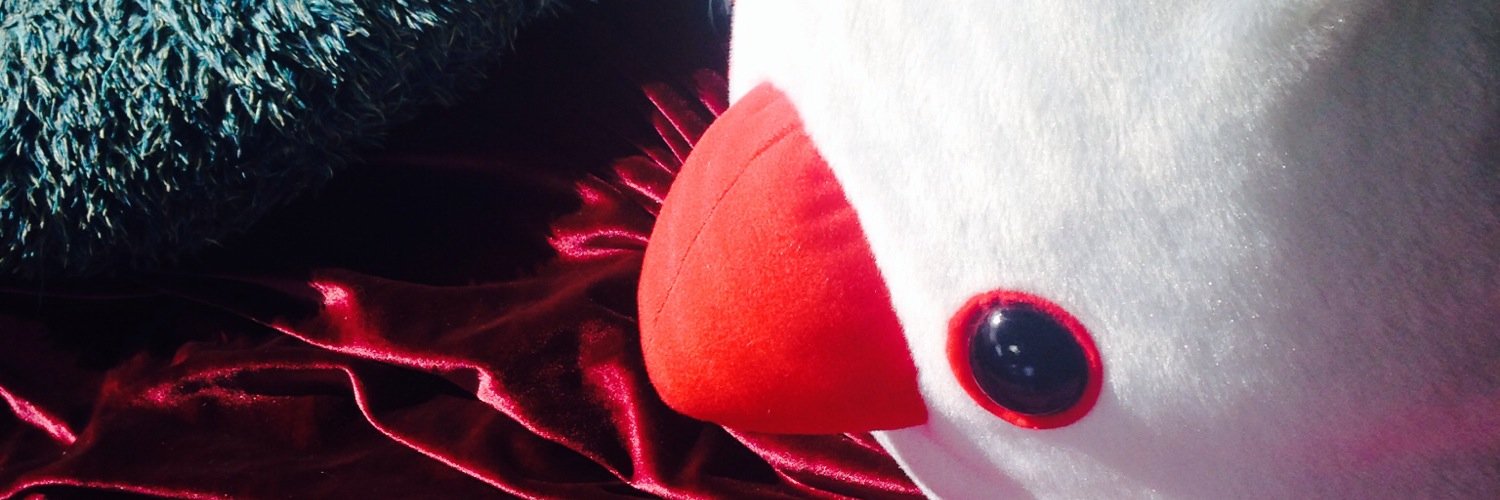 mayumi_shining's profile banner image