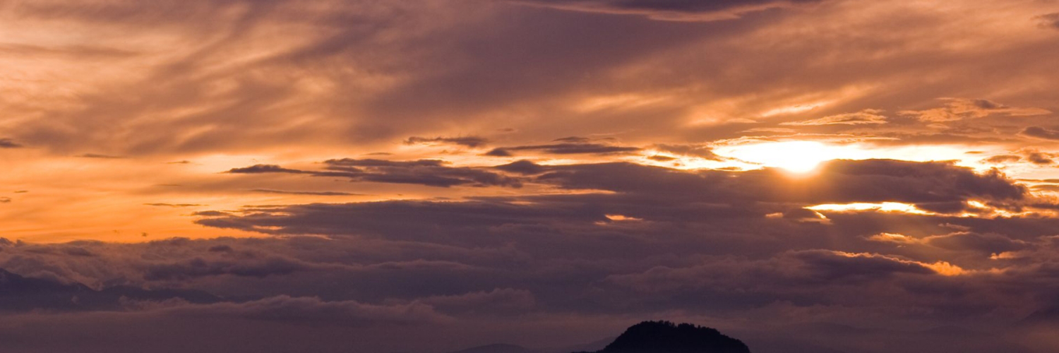 Светлана Климова banner
