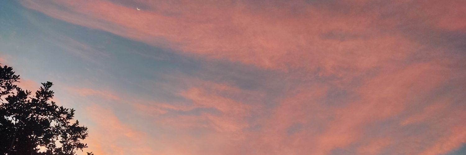 monigo7e's profile banner image
