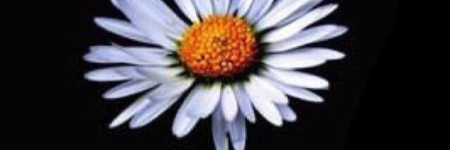 kai_0911_'s profile banner image