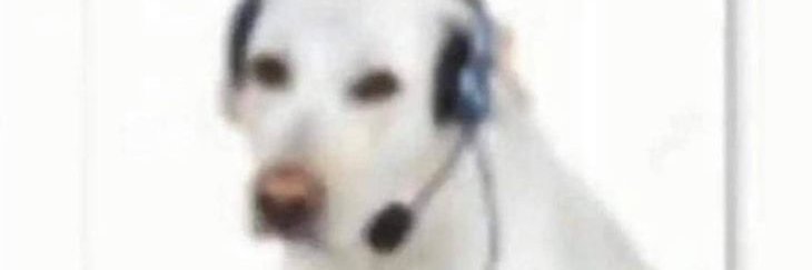 ADRIDIXZ's profile banner image