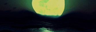 LizCosmos's profile banner image