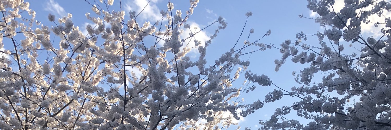 Sarahashleyyy00's profile banner image