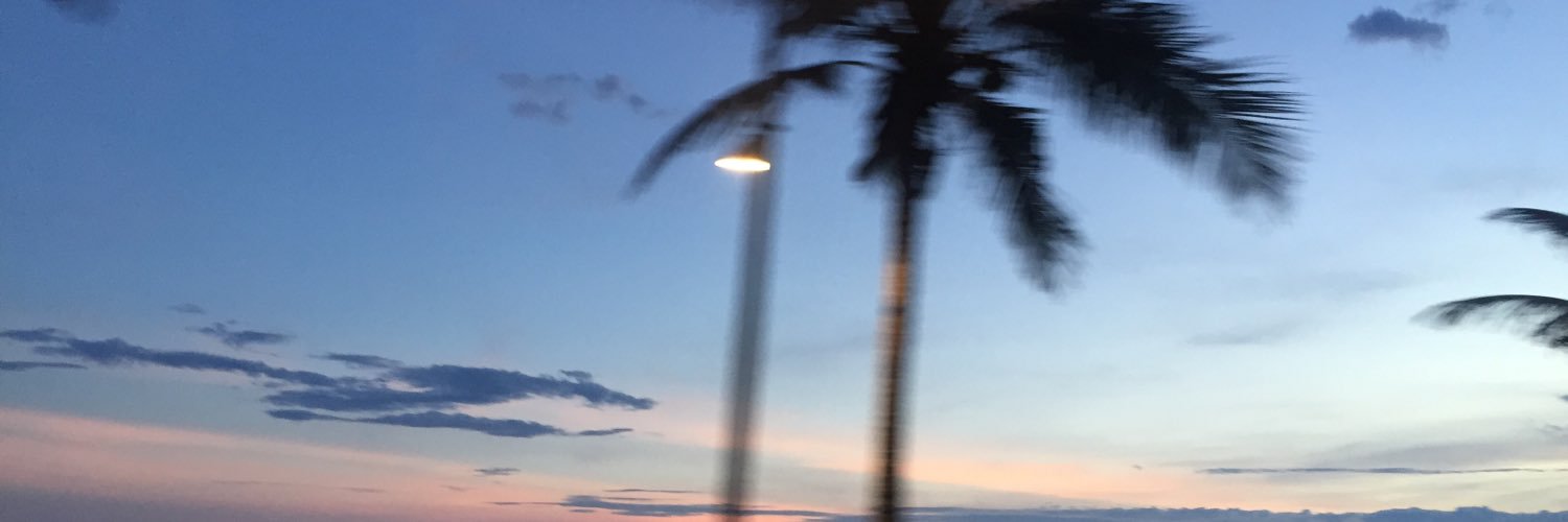Delfi_Costa's profile banner image