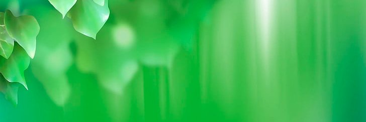 MolashGreen's profile banner image