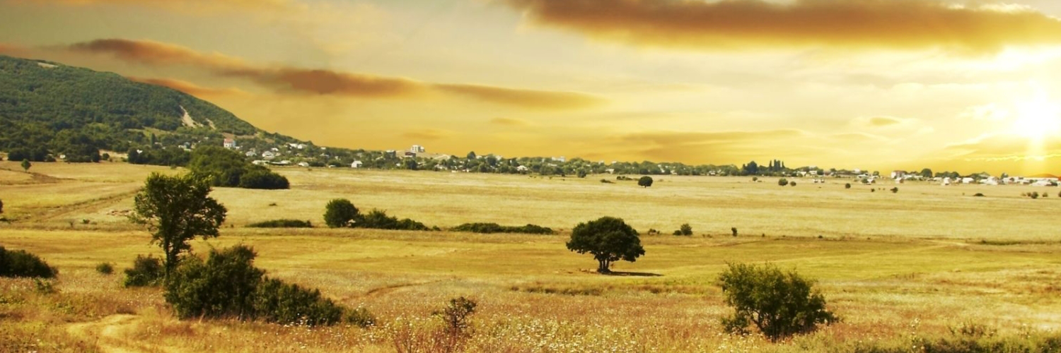 williamilofaraz's profile banner image