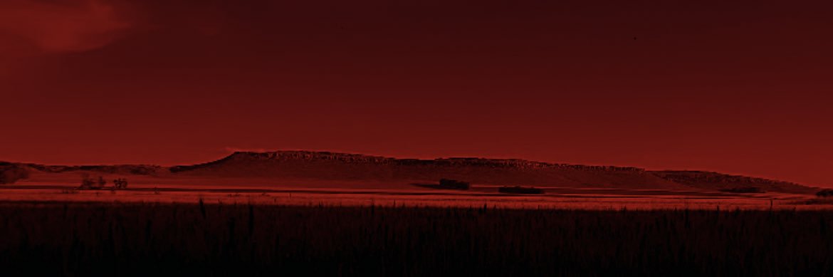 lulaniveyro's profile banner image