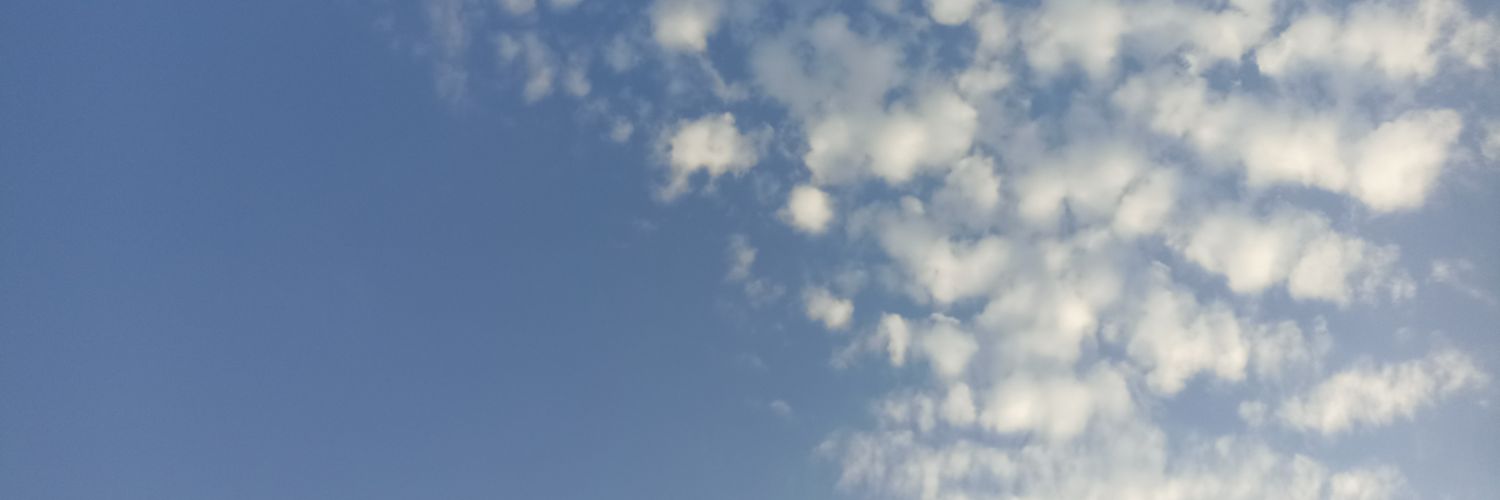46hali's profile banner image