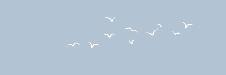 alltoowsll13's profile banner image