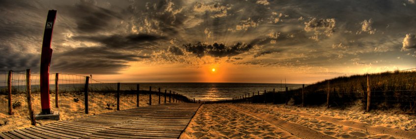 pimienta_pim's profile banner image