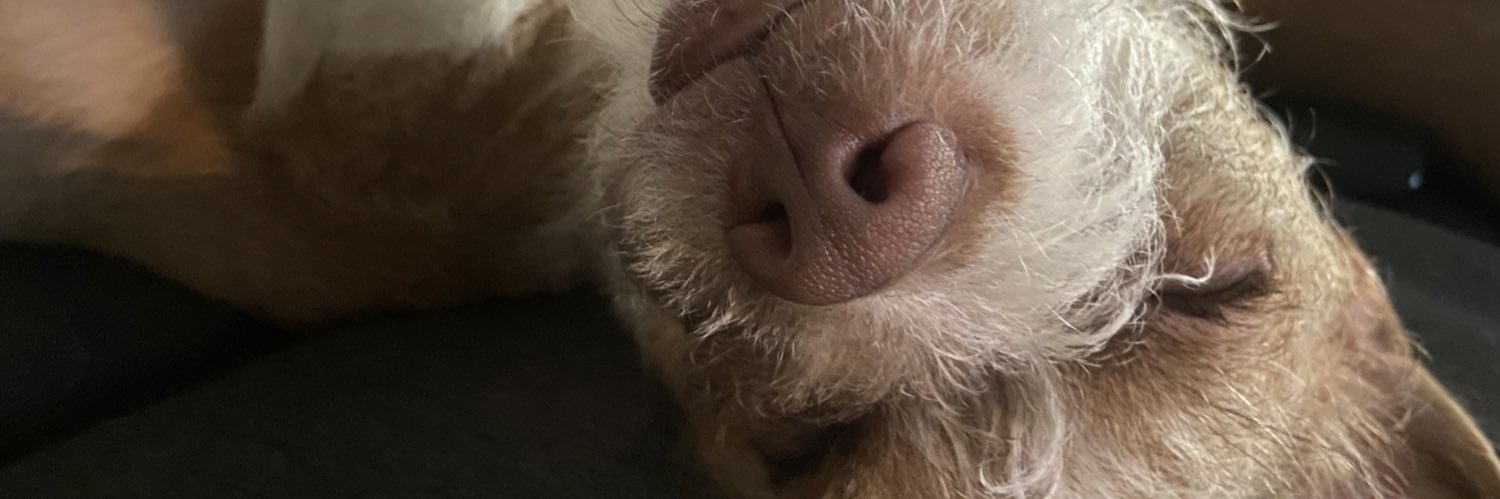 MrsTrout00's profile banner image