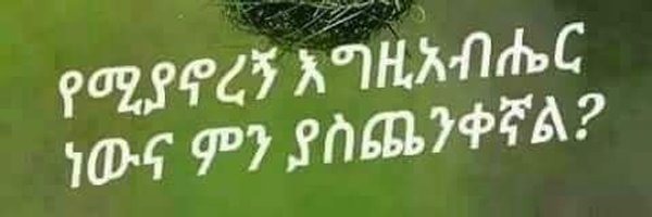HMangistu's profile banner image