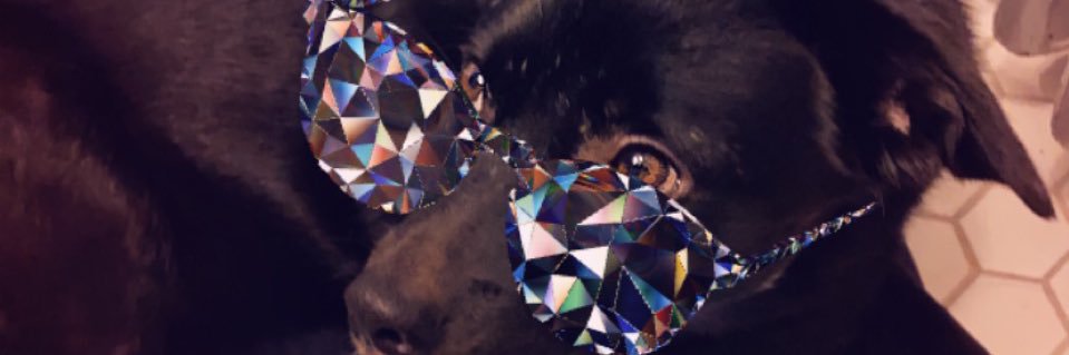 Sass Empress banner