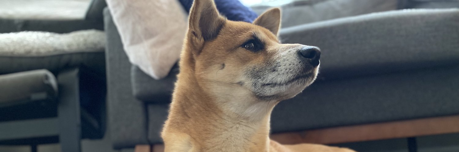 rasdagod's profile banner image
