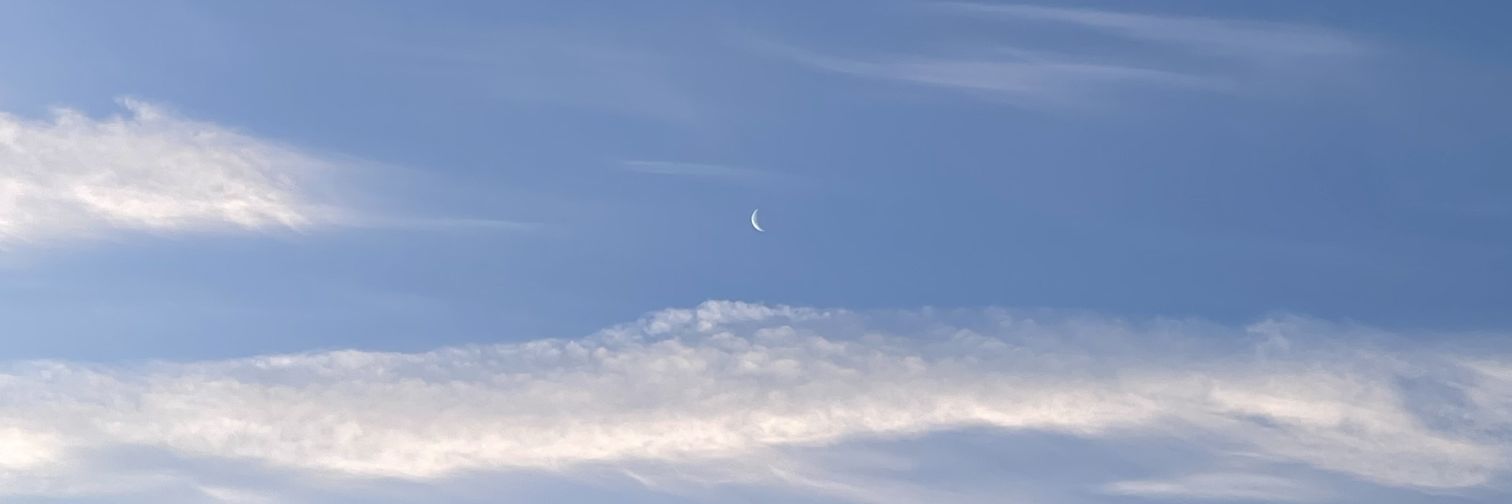 manggae_mini's profile banner image